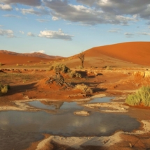 Namib-Naukluft-National-Park-Namibia-Africa