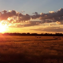 Omalanga-lodge-otavi-namibia5