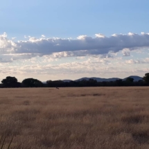 Omalanga-lodge-otavi-namibia6