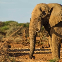 namibia-self-drive4