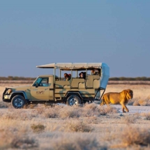 namibia-self-drived5